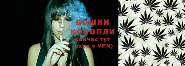 дмт Каменка