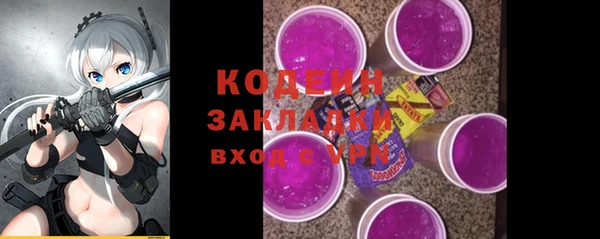 дмт Каменка