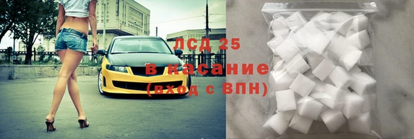 дмт Каменка