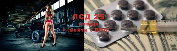 дмт Каменка