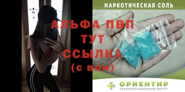 дмт Каменка