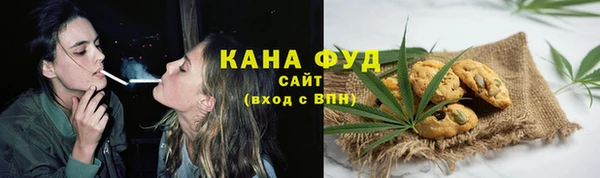 дмт Каменка