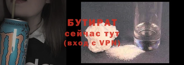 дмт Каменка