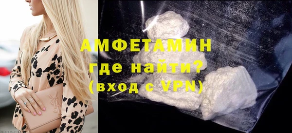 дмт Каменка