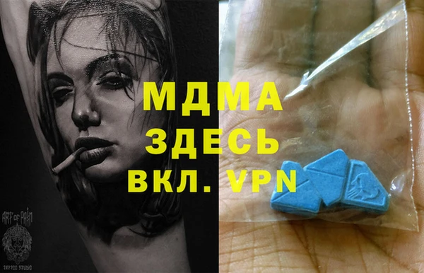 дмт Каменка