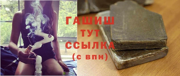 дмт Каменка